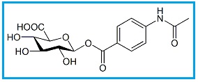 Acedoben Acyl-B-D-Glucuronide